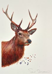Stag at Dawn by Sarah Stokes - Original Painting on Paper sized 10x13 inches. Available from Whitewall Galleries